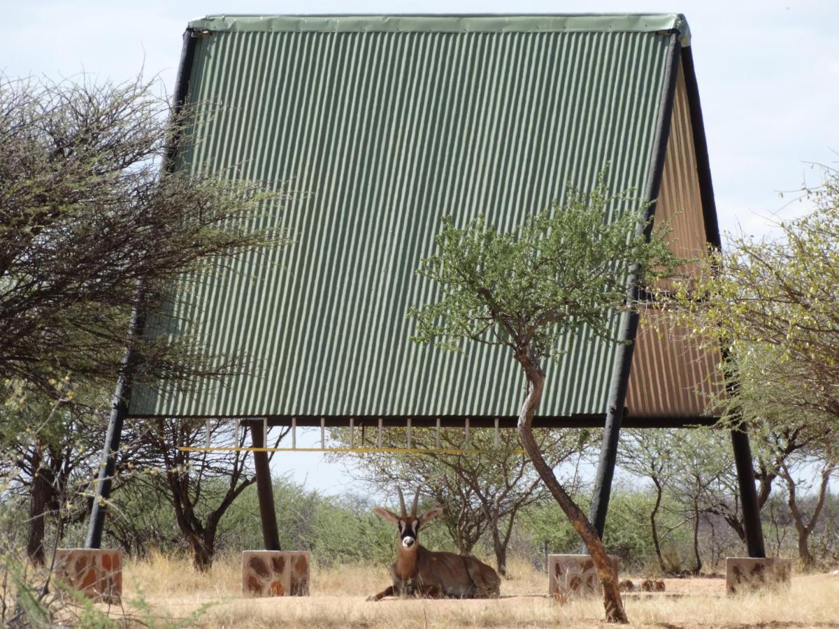 Ovita Wildlife Restcamp Okazize Exteriör bild